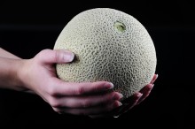 Weekly Science Picks