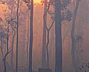 Bushfire in Australia