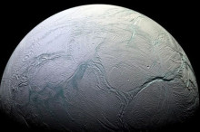 Weekly Science Picks