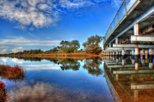 The Best of Australian Science: January 2014