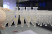 Weekly Science Picks