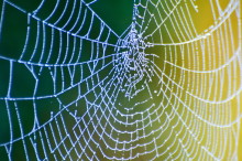 The Best of Australian Science: June 2014