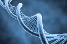 The Best of Australian Science: August 2014