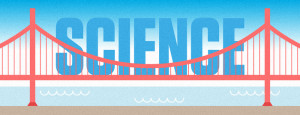 Bridge science