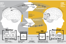 brain-to-brain