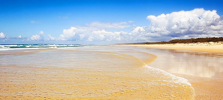 The Potential Impact of Climate Change on Fraser Island thumbnail
