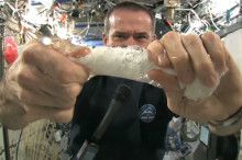 Weekly Science Picks