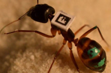 Weekly Science Picks