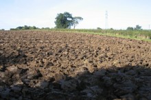 New technology to measure soil carbon