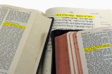The Science of Translation
